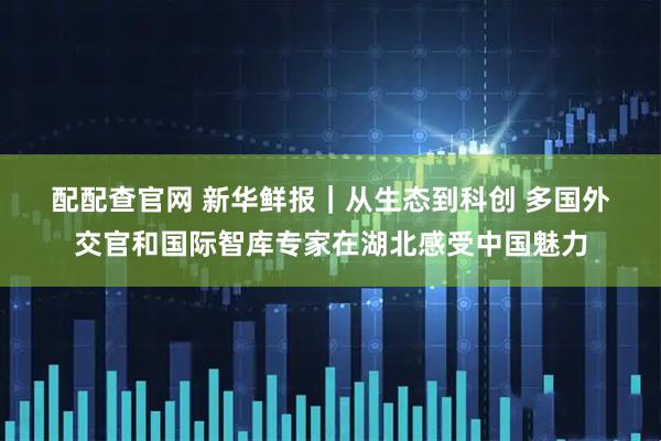 配配查官网 新华鲜报｜从生态到科创 多国外交官和国际智库专家在湖北感受中国魅力
